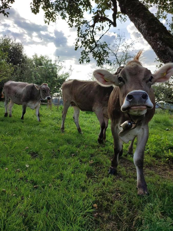 Ferienwohnung Trifts | Einzelbetten | Parkplatz Wangen im Allgäu Exterior foto