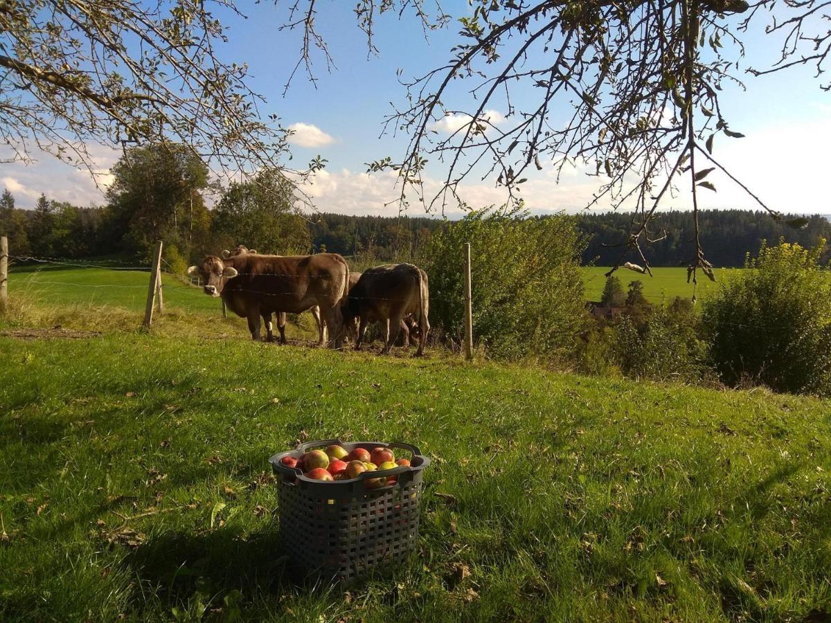 Ferienwohnung Trifts | Einzelbetten | Parkplatz Wangen im Allgäu Exterior foto